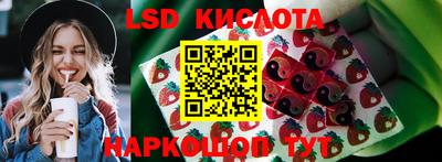 ПСИЛОЦИБИНОВЫЕ ГРИБЫ Моздок