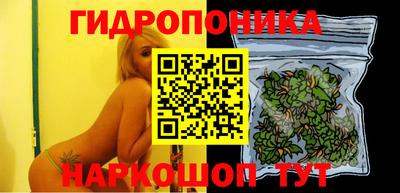 spice Можга