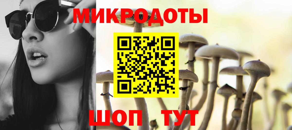 Сургут  Псилоцибиновые грибы Magic Shrooms  где можно купить наркотик  Вход с VPN 